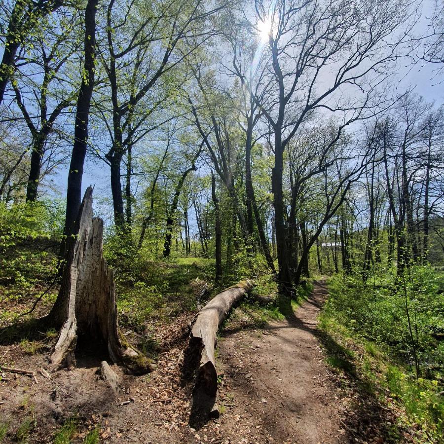 Hotel Gut Klostermuehle Natur Resort & Medical Spa Alt Madlitz Екстер'єр фото